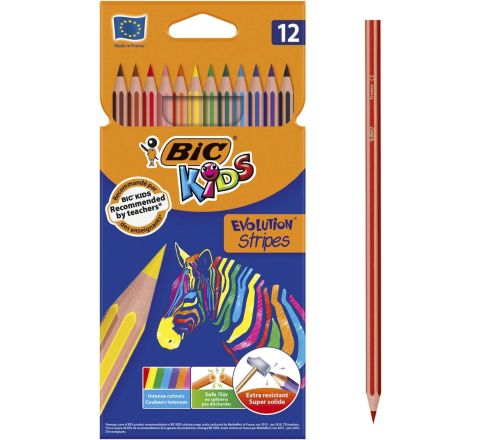 Bic Ball Pen